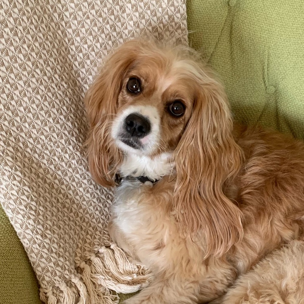 Meet your Posher, Kimberly